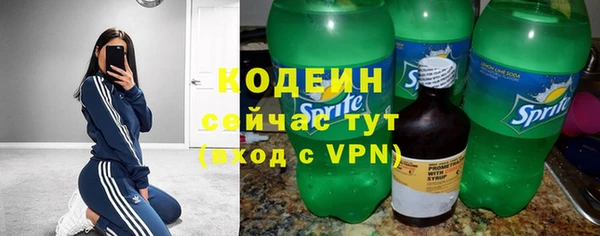 ПСИЛОЦИБИНОВЫЕ ГРИБЫ Ельня