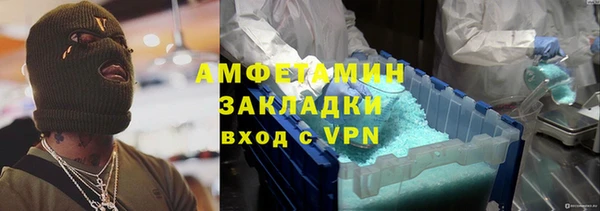 ПСИЛОЦИБИНОВЫЕ ГРИБЫ Ельня