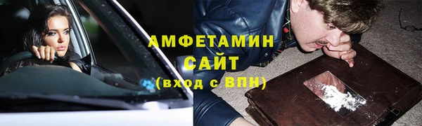 стафф Тайга