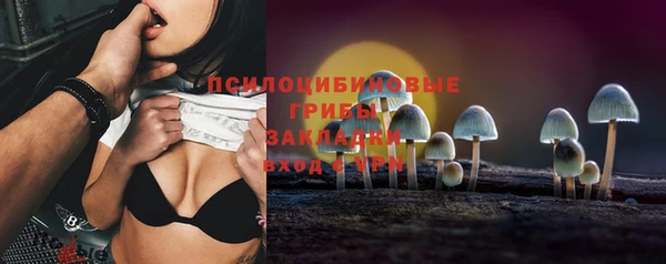 ПСИЛОЦИБИНОВЫЕ ГРИБЫ Ельня