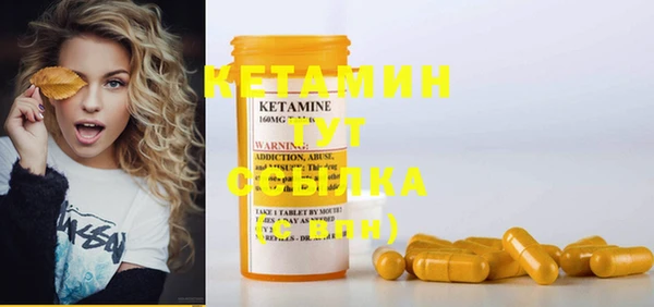 ПСИЛОЦИБИНОВЫЕ ГРИБЫ Ельня