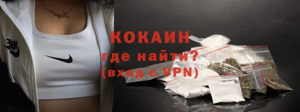 ПСИЛОЦИБИНОВЫЕ ГРИБЫ Ельня
