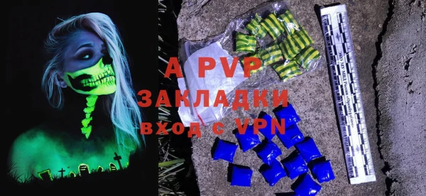 ПСИЛОЦИБИНОВЫЕ ГРИБЫ Ельня