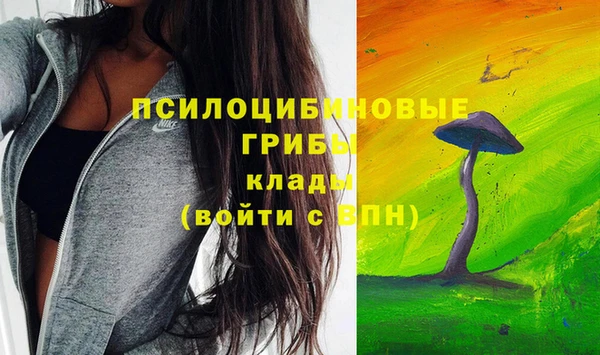 ПСИЛОЦИБИНОВЫЕ ГРИБЫ Ельня