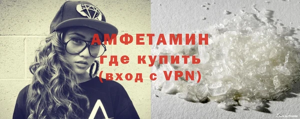 ПСИЛОЦИБИНОВЫЕ ГРИБЫ Ельня
