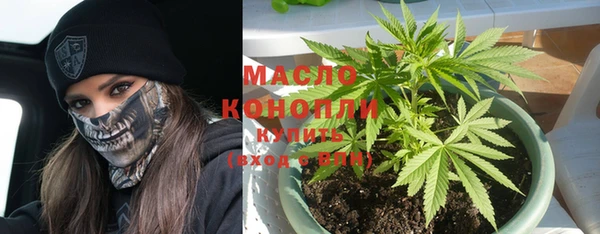 ПСИЛОЦИБИНОВЫЕ ГРИБЫ Ельня