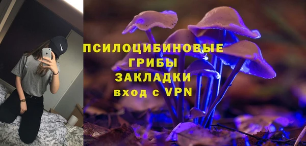 ПСИЛОЦИБИНОВЫЕ ГРИБЫ Ельня